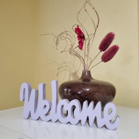 Apartment Sanja パジン エクステリア 写真
