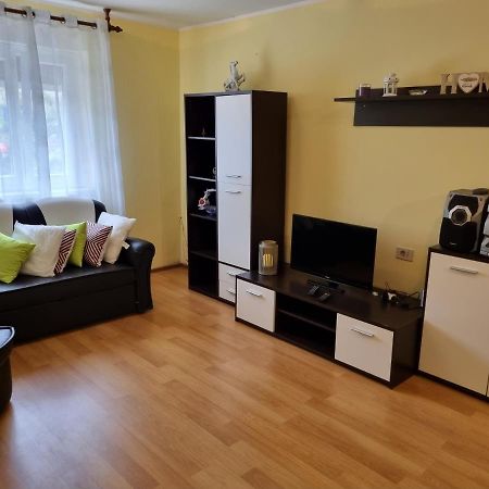 Apartment Sanja パジン エクステリア 写真