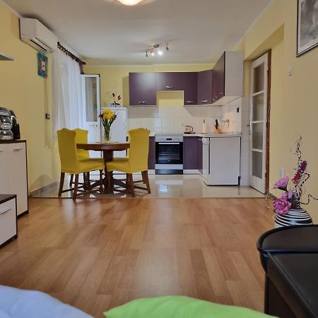 Apartment Sanja パジン エクステリア 写真