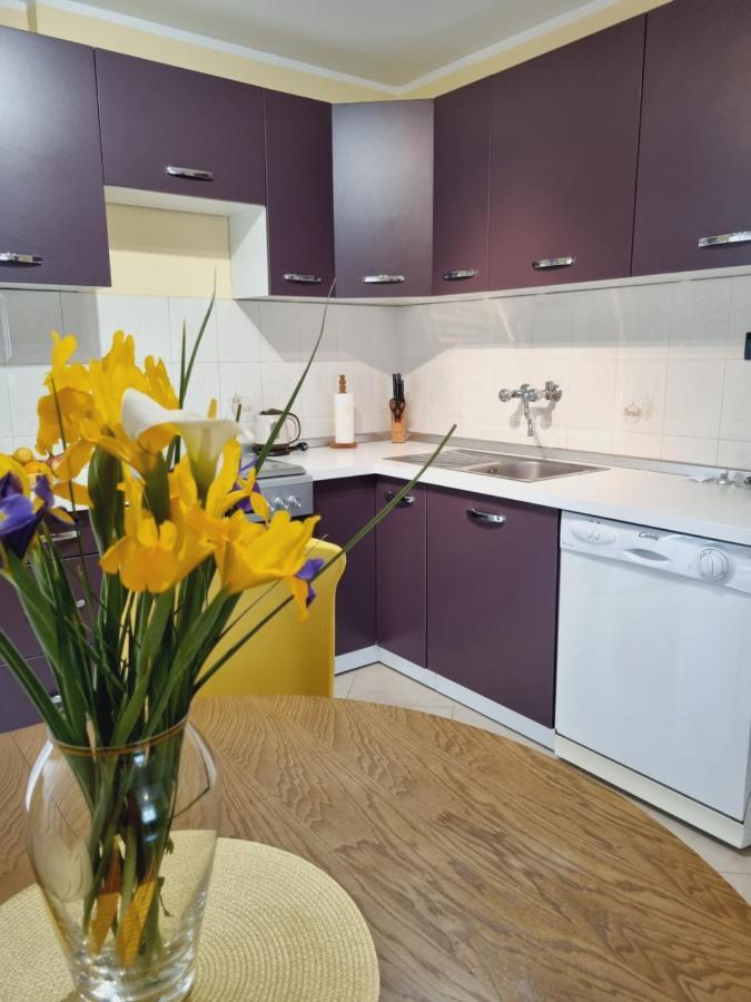 Apartment Sanja パジン エクステリア 写真